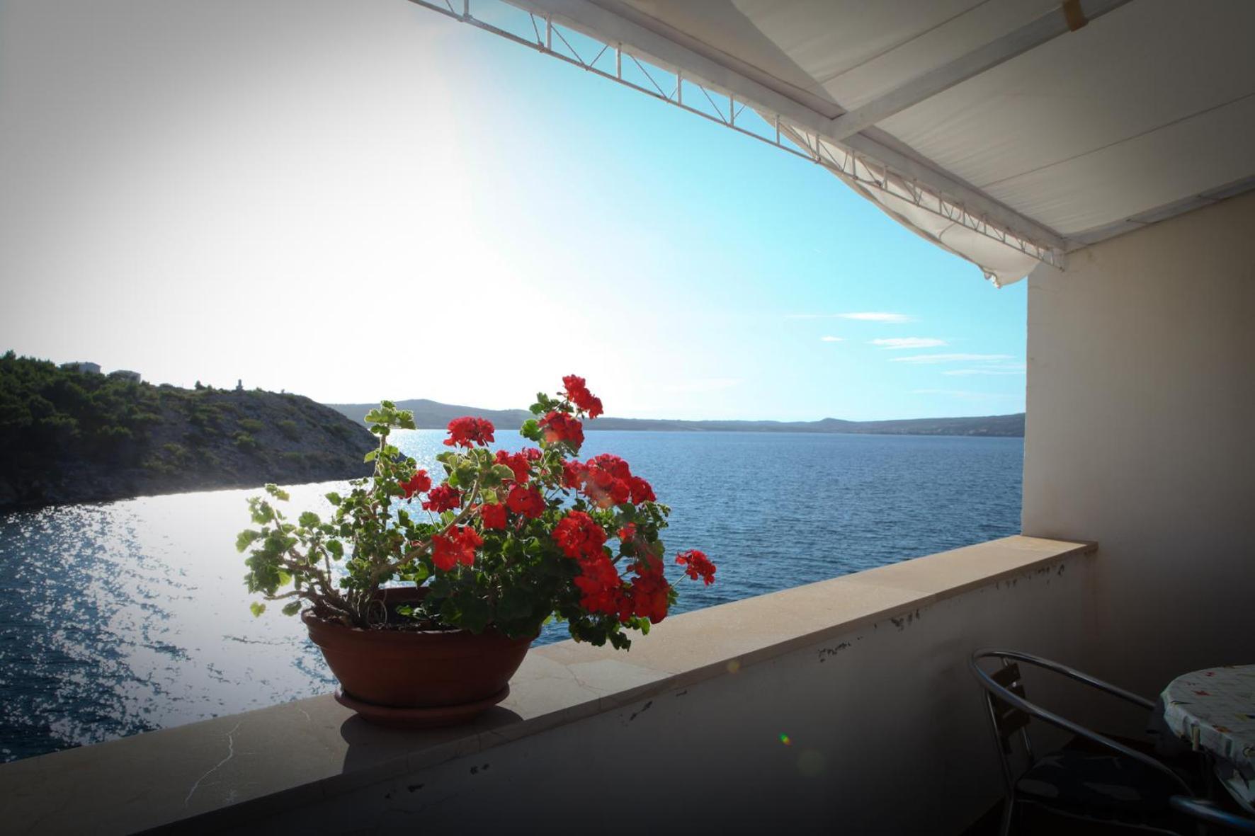 Apartment Blaskovic Novigrad  Exterior foto