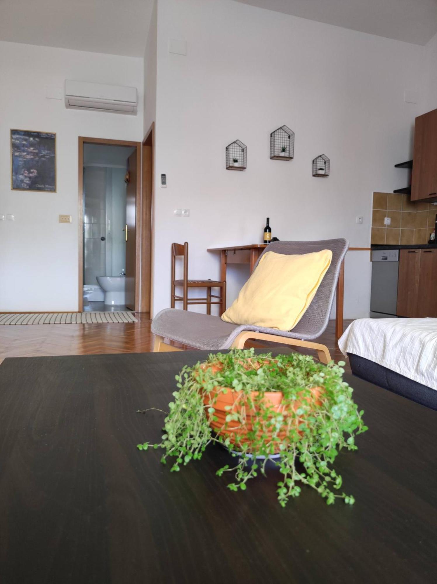 Apartment Blaskovic Novigrad  Cameră foto